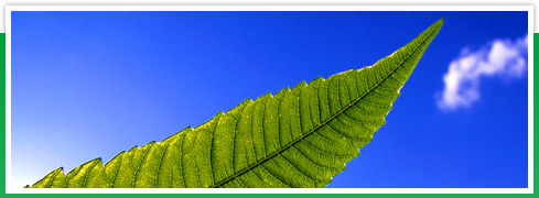 Inesol Galicia - Instalaciones Eléctricas y Solares